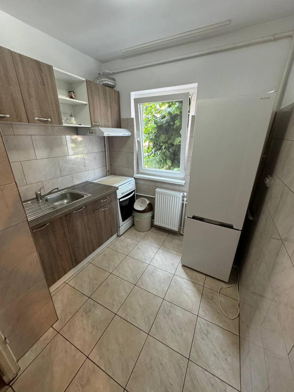 Affordable Apartment Close To The Castle Hunedoara Eksteriør bilde
