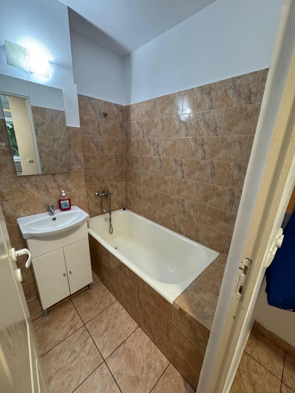 Affordable Apartment Close To The Castle Hunedoara Eksteriør bilde